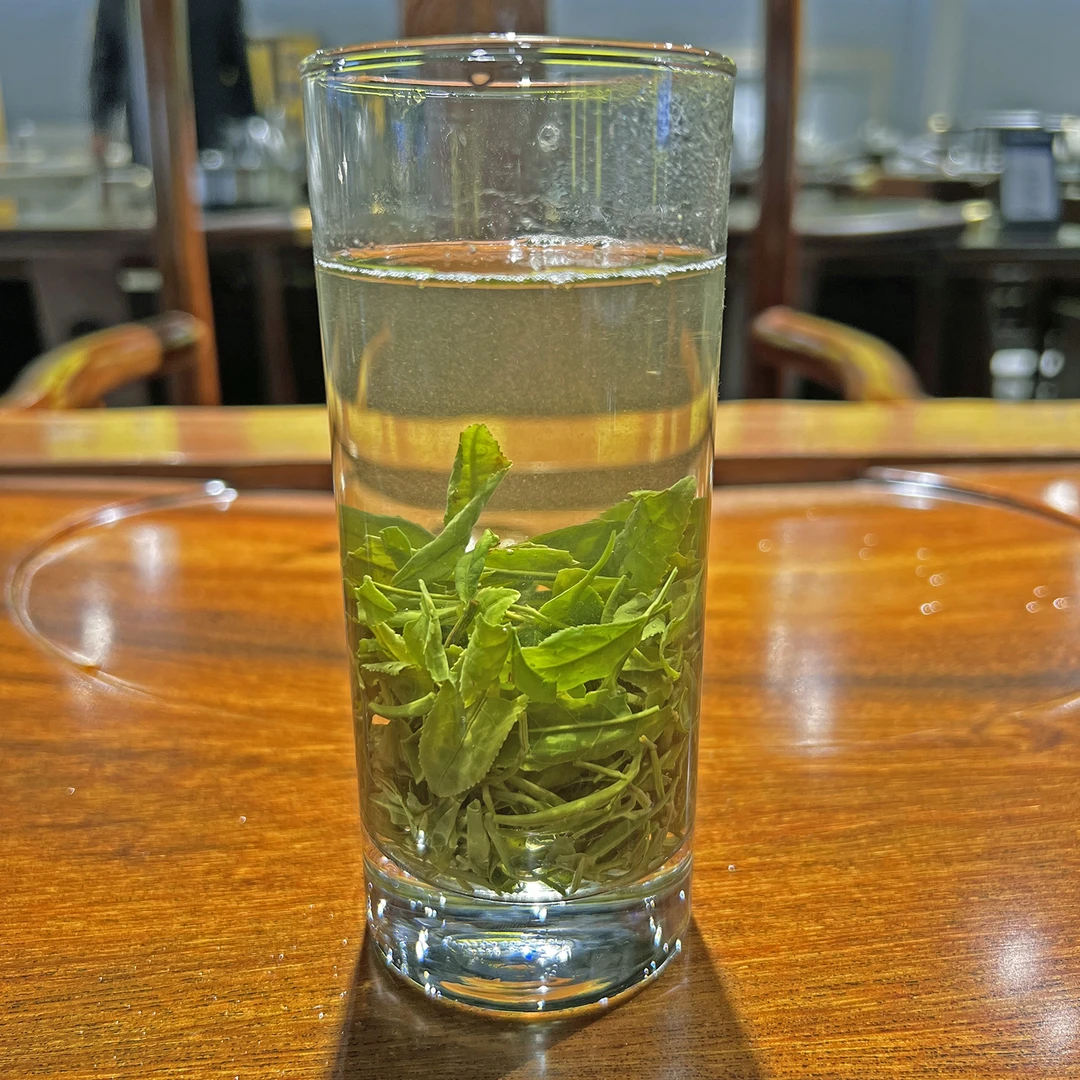 单双信阳毛尖2024新茶雨前芽叶高山野茶栗香耐泡大叶茶