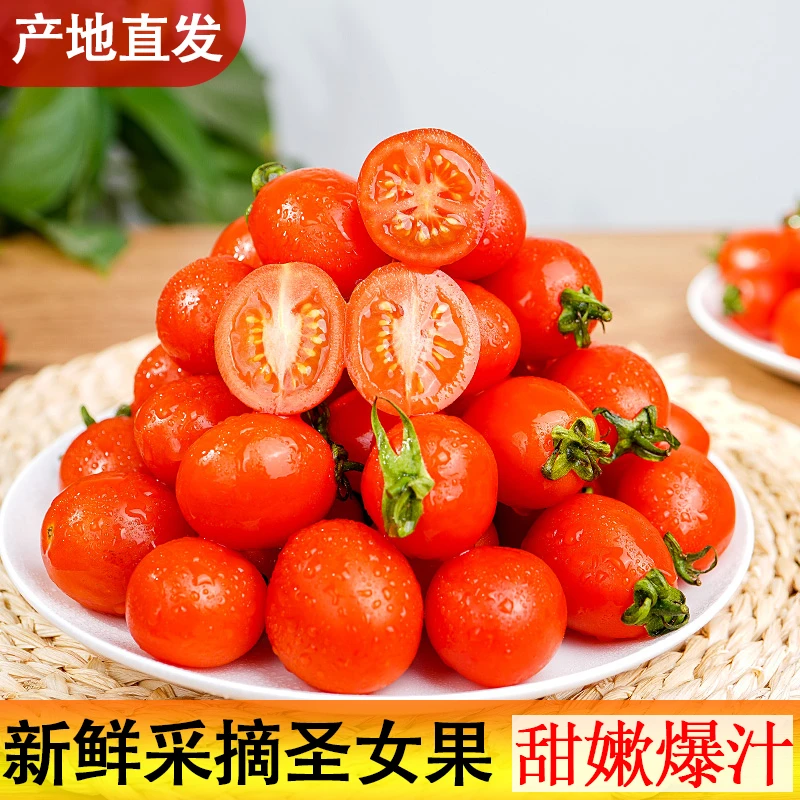 广西圣女果新鲜现摘水果西红柿农家自然熟蔬菜生吃小番茄