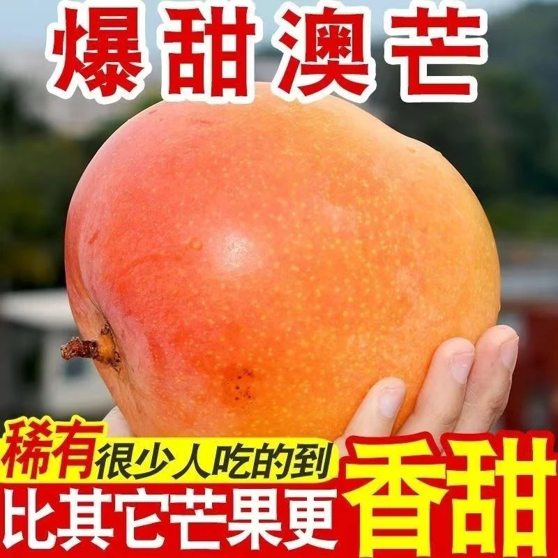【海南大澳芒】净重8斤大果当季稀有无丝蜜汁香浓储藏说明新疆包邮