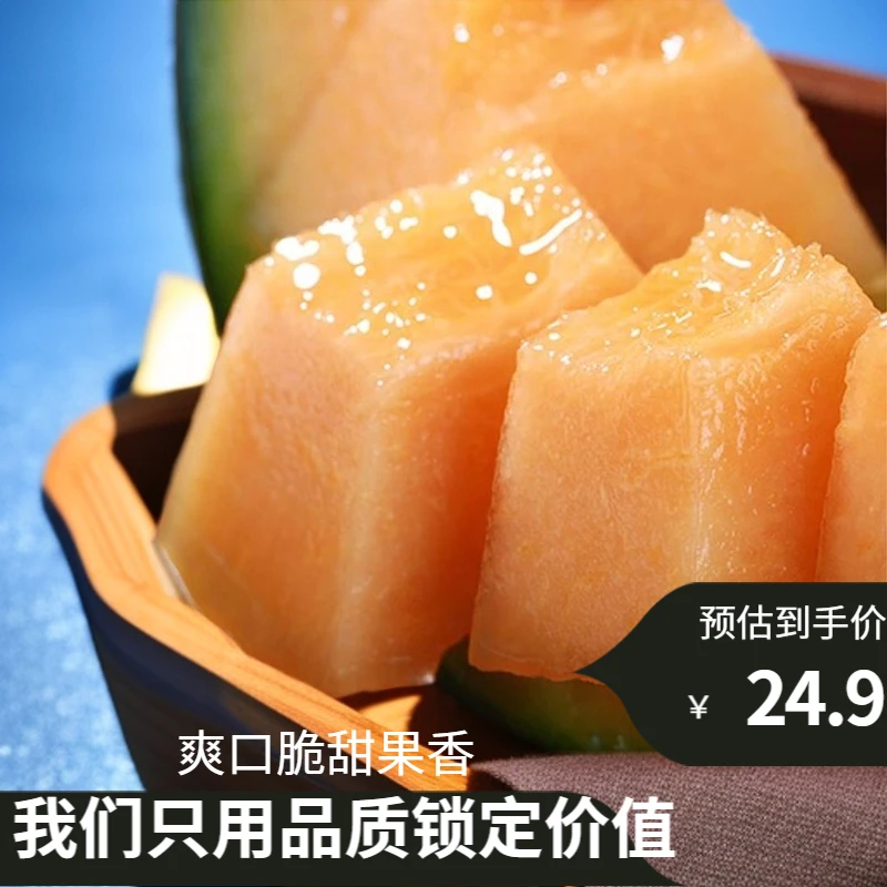 【新疆哈密瓜王抢购包邮】西州蜜17号果香口感脆甜产地发货派送上门