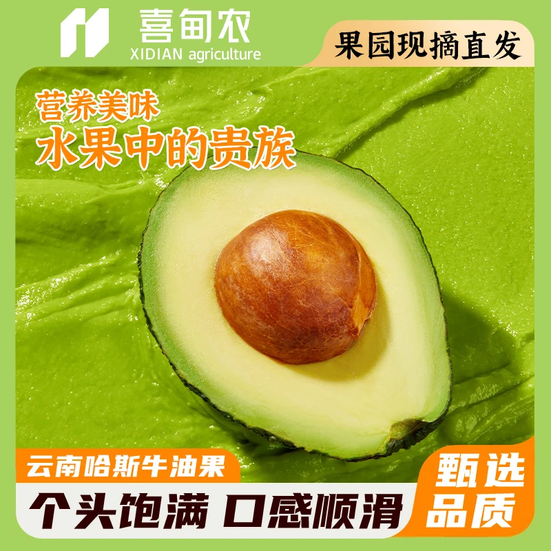 云南哈斯牛油果甄选新鲜当季水果营养美味宝宝辅食礼盒装产地直发