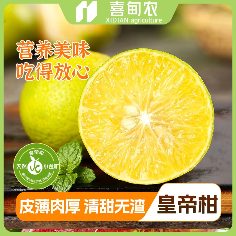 【喜甸农】皇帝柑香甜精品礼盒装新鲜应季当季水果多汁可口产地现摘