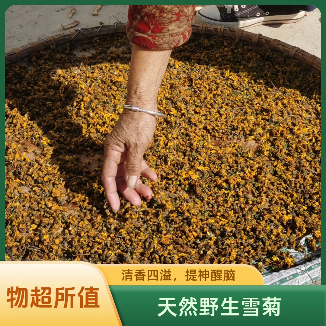 湖南耒阳晒干野菊花