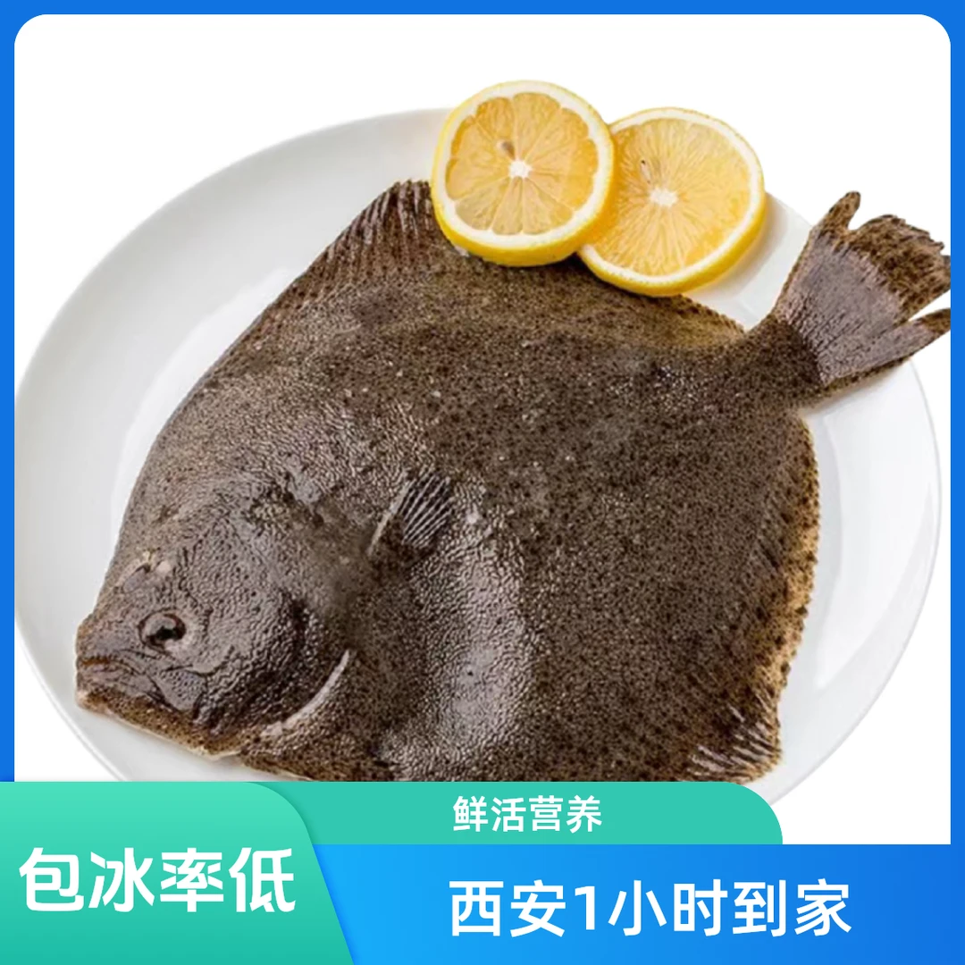鲜活营养多宝鱼550g左右【西安1小时到家】