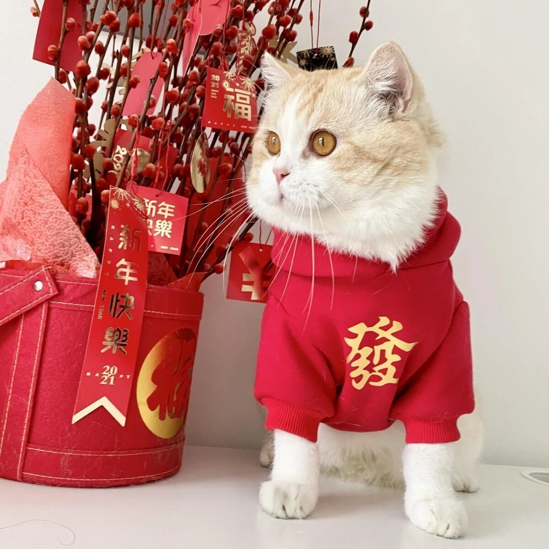 狗狗衣服新年装扮秋冬款猫咪卫衣小型犬红色马甲圣诞衣服宠物衣服