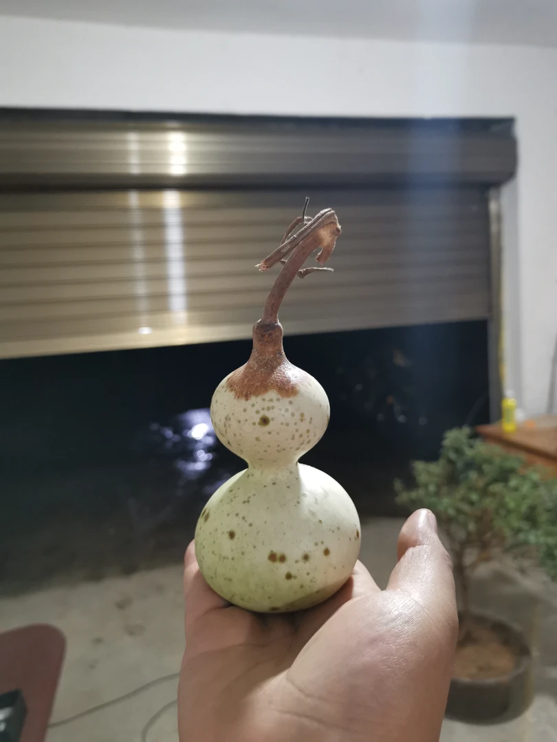 文艺小葫芦，吉祥如意