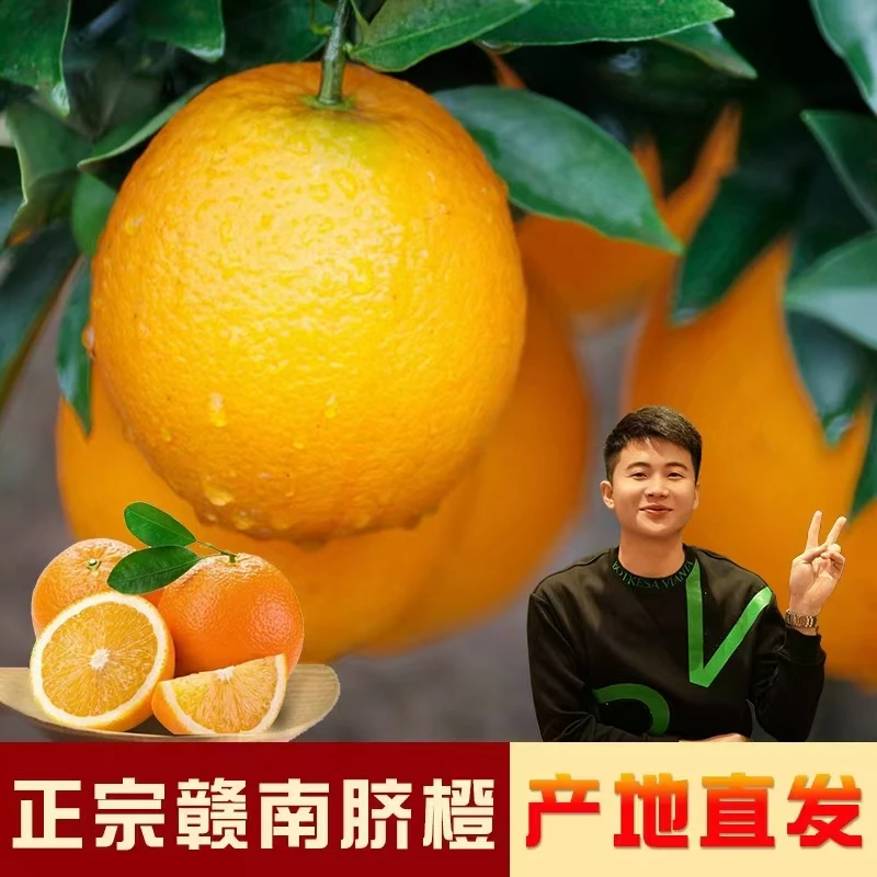 【二哥专属】普通快递精选赣南脐橙新鲜采摘香甜多汁橙10斤20斤
