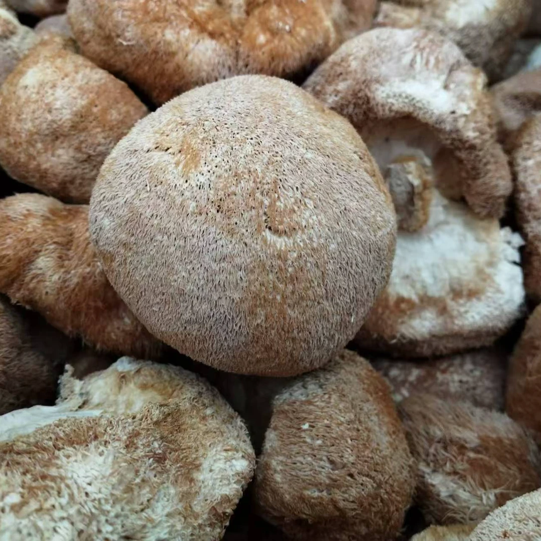 农村阿蓝 猴头菇半斤装