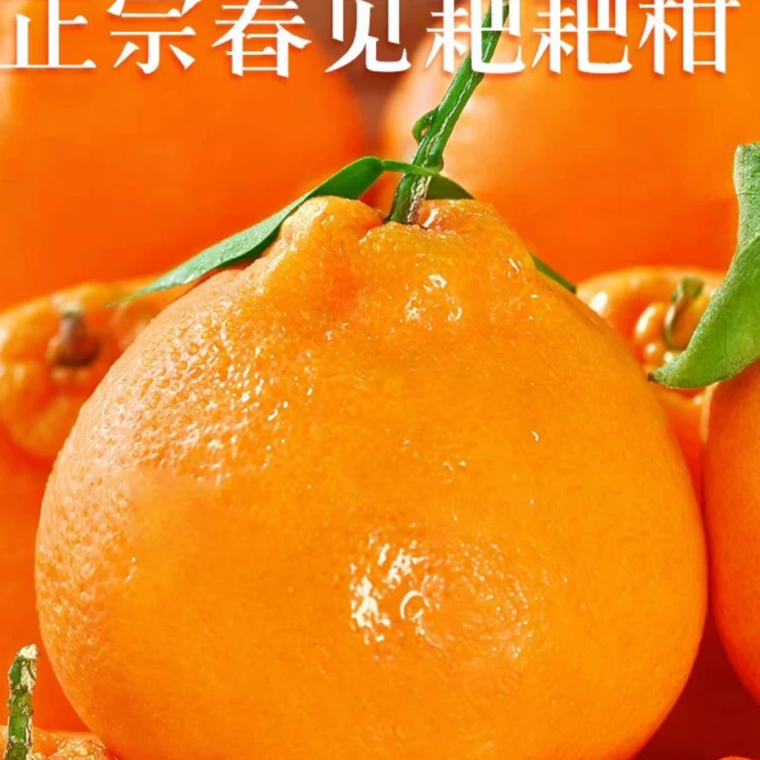 A【粉丝专享】正宗四川耙耙柑4斤起新鲜采摘应季水果