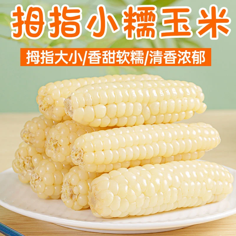 云南西双版纳拇指玉米新鲜手指指小玉米现摘甜香糯宝宝孕妇食用