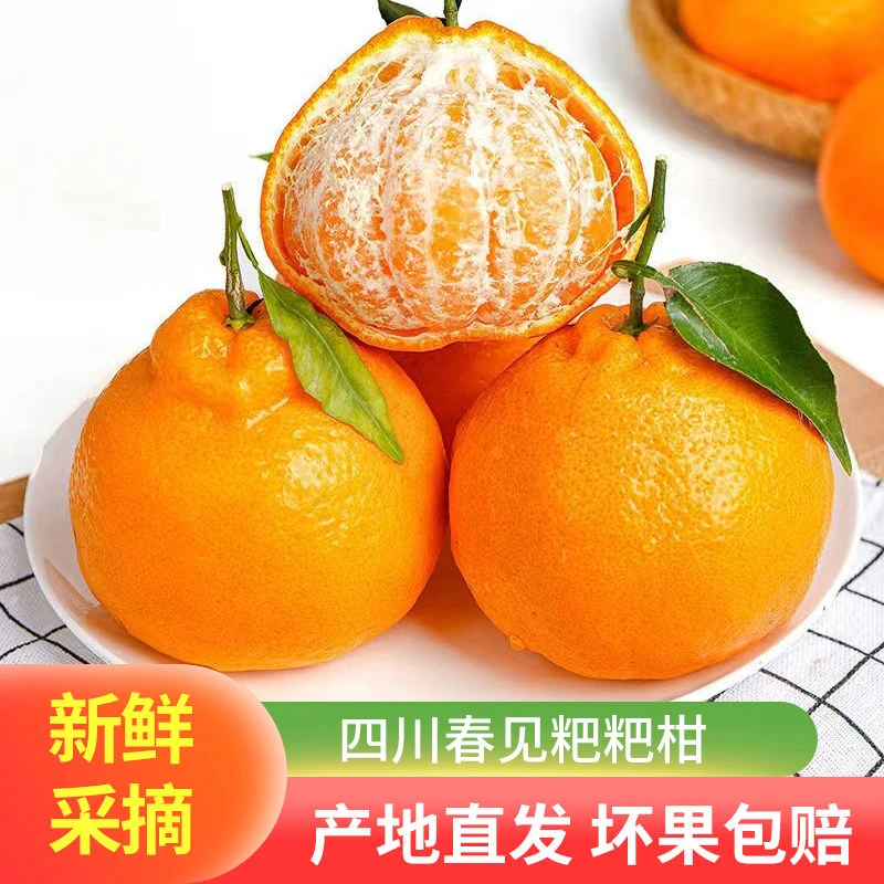 四川正宗春见耙耙柑应季新鲜整箱批发水果橘子柑橘当季现摘包邮