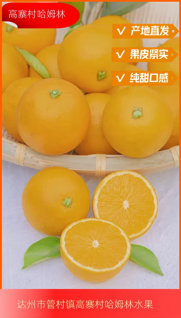 四川达州哈姆林甜橙新鲜成熟香甜采摘直供多汁鲜甜好吃甄选精选