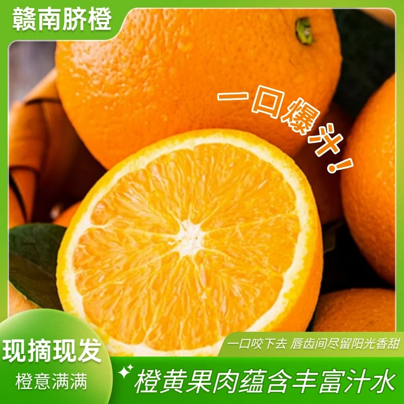 正宗脐橙地标认证2025新鲜水果现摘现发5斤/包邮