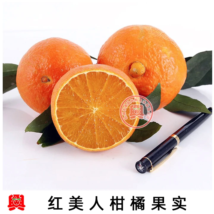 2号店2移植树苗 果树苗一物一拍 编号蜜桔果树盆栽