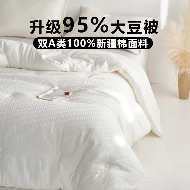帕萨罗-山宁泰抗菌全棉95%大豆被四季通用加厚透气冬被子母被