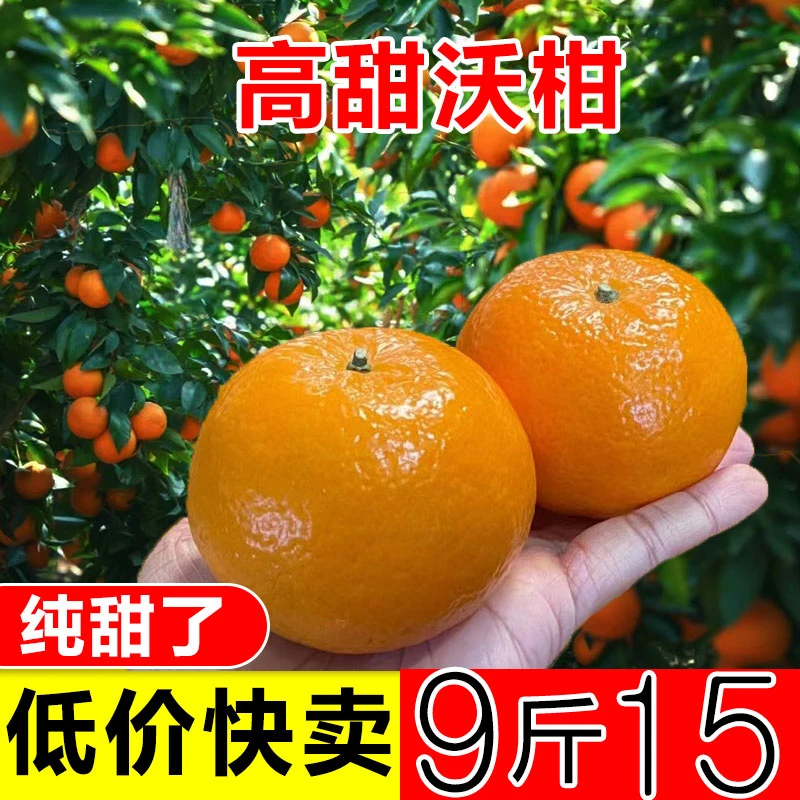 【果农直发】沃柑大果新鲜水果当季柑橘桔子甜橙子非耙耙柑砂糖橘