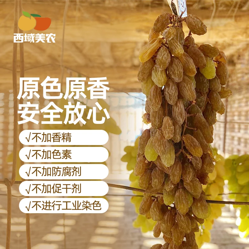 西域美农新疆挂枝葡萄干520克/盒 吐鲁番特产葡萄干风干绿提子干