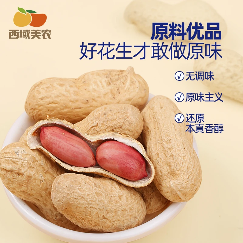 西域美农原味烤花生米500g 新货美味不熏染酥脆香脆低钠健康炒货