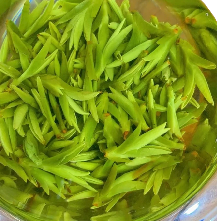 680的龙井新茶头采头春经典