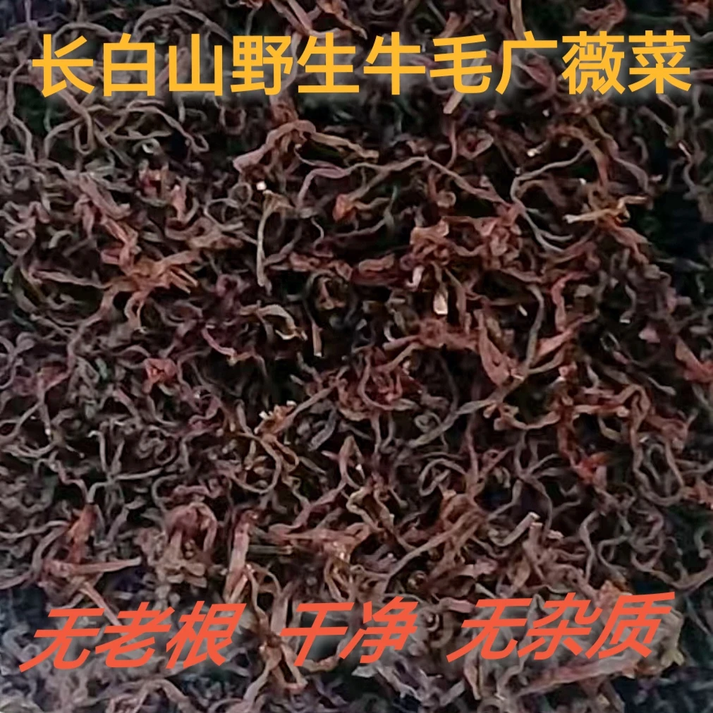 吉林长白山产牛毛广薇菜
