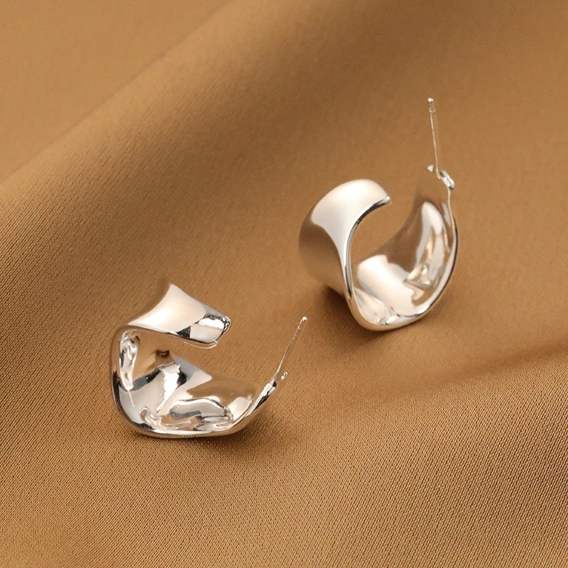 925银耳饰 【雯姐专属】欧美金属扭曲耳圈耳钉女小众设计高级感气质