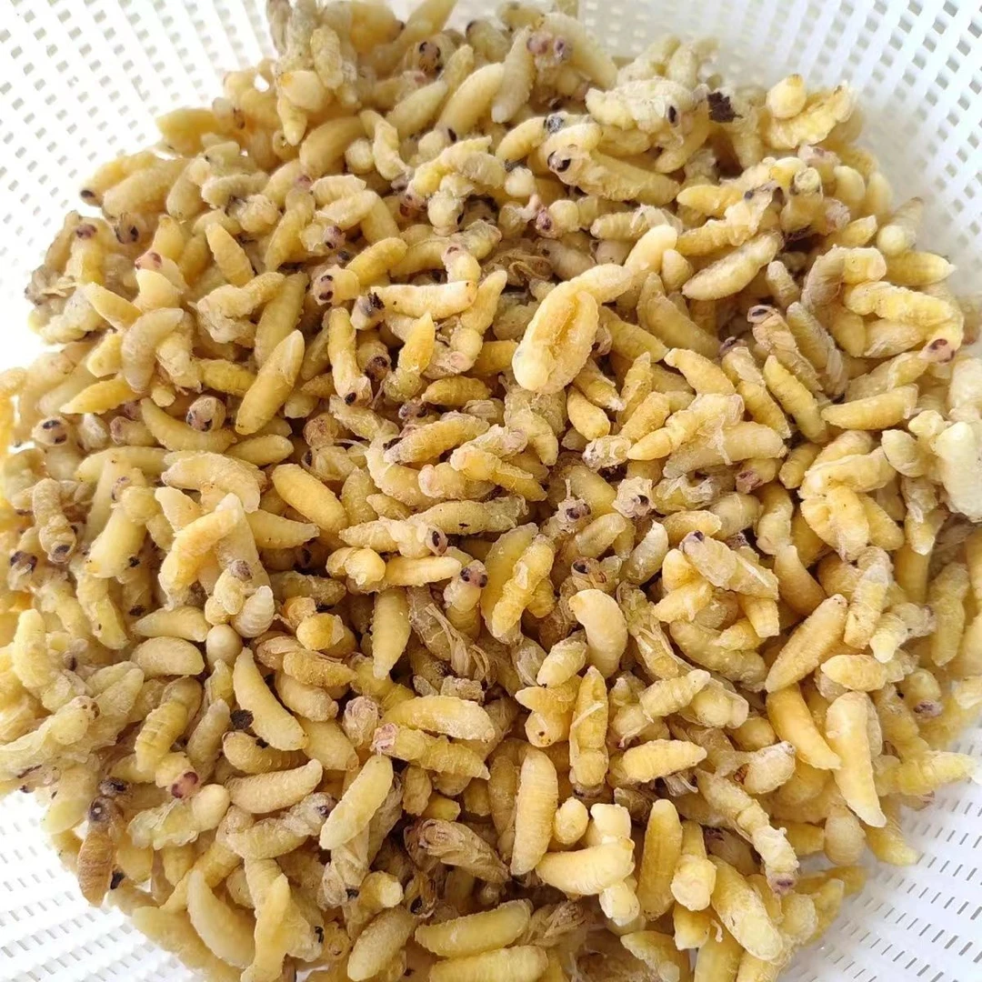 树蜂蛹土蜂蛹2025年新货七里蜂蛹黄脚蜂蛹深山马蜂蛹树蜂蛹地蜂蛹