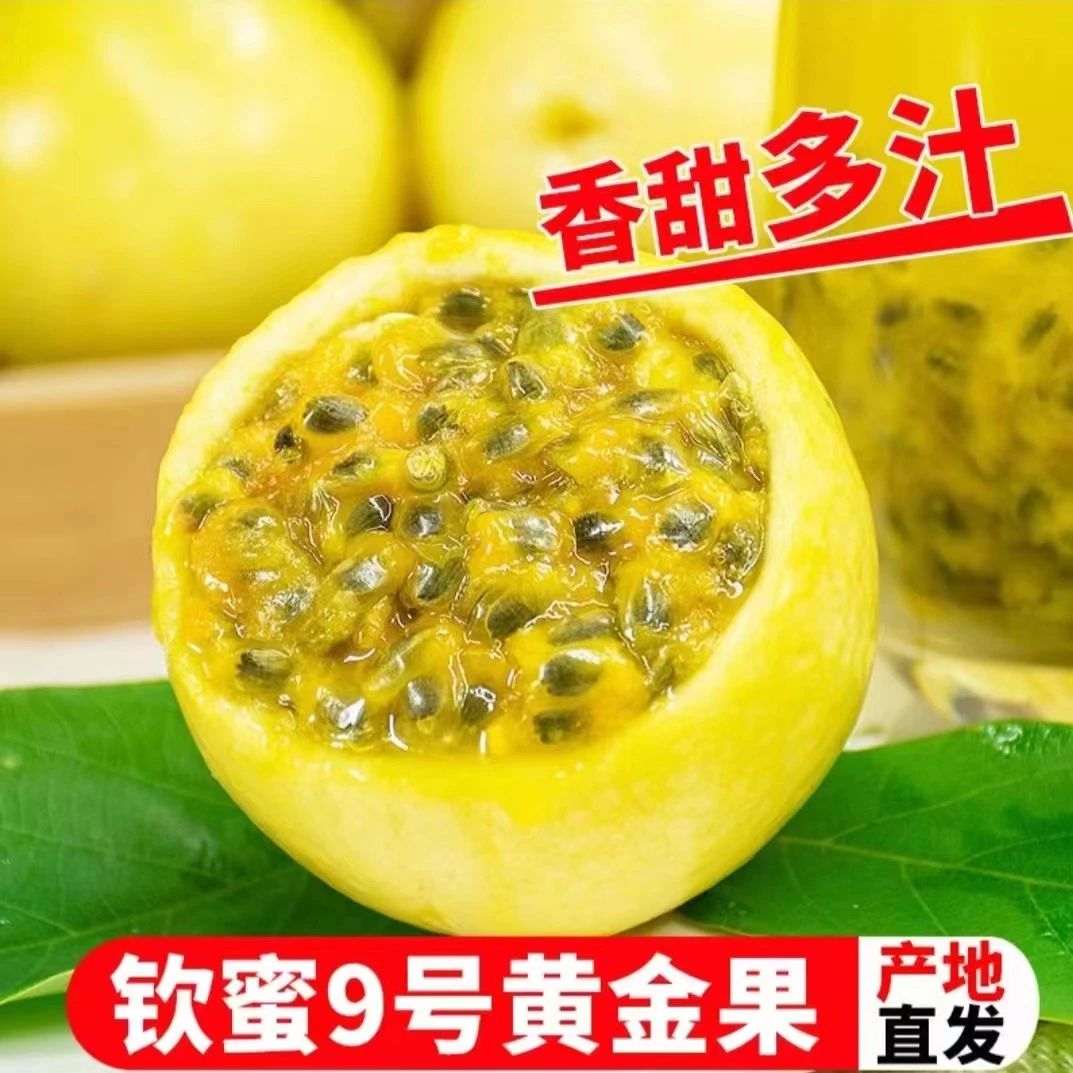 【顺丰包邮】钦蜜9号百香果香甜好吃汁水丰裕果肉饱满现摘多汁