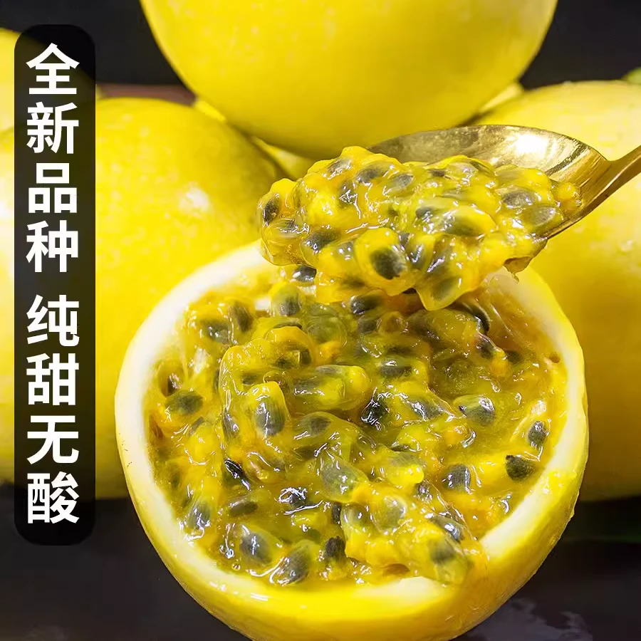 N.T【现摘现发】黄金百香果正品钦蜜9号果园直发酸甜香甜皱皮饱满