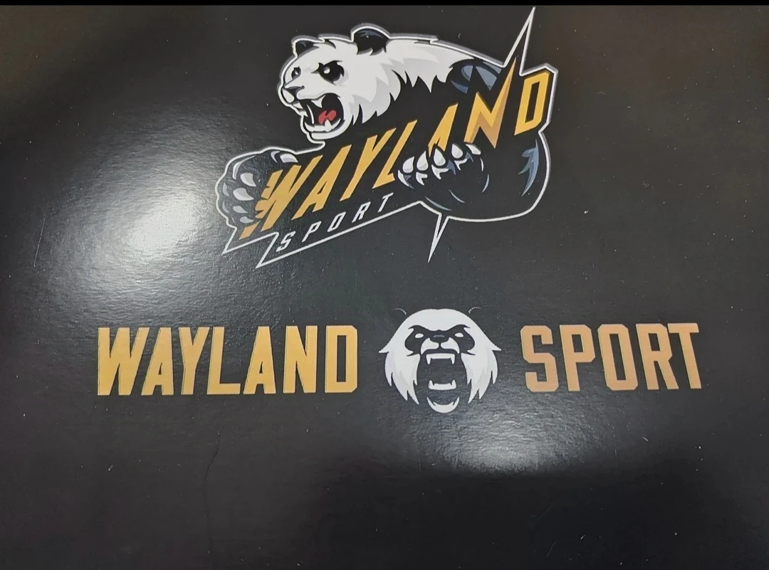 WAYLAND SPORT足球趣味收藏（默认代拆）