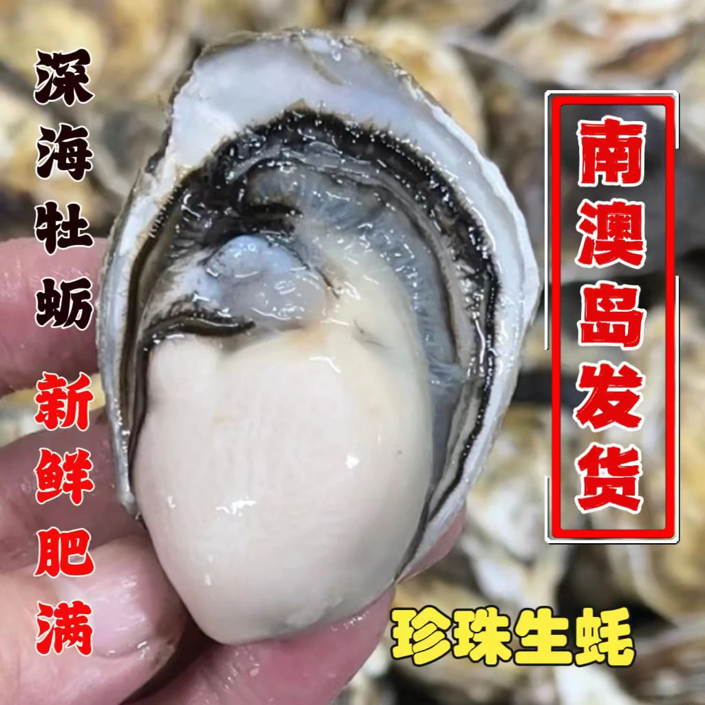 南澳生蚝带壳鲜活海鲜水产新鲜活牡蛎烧烤食材全壳海蛎子10斤包邮