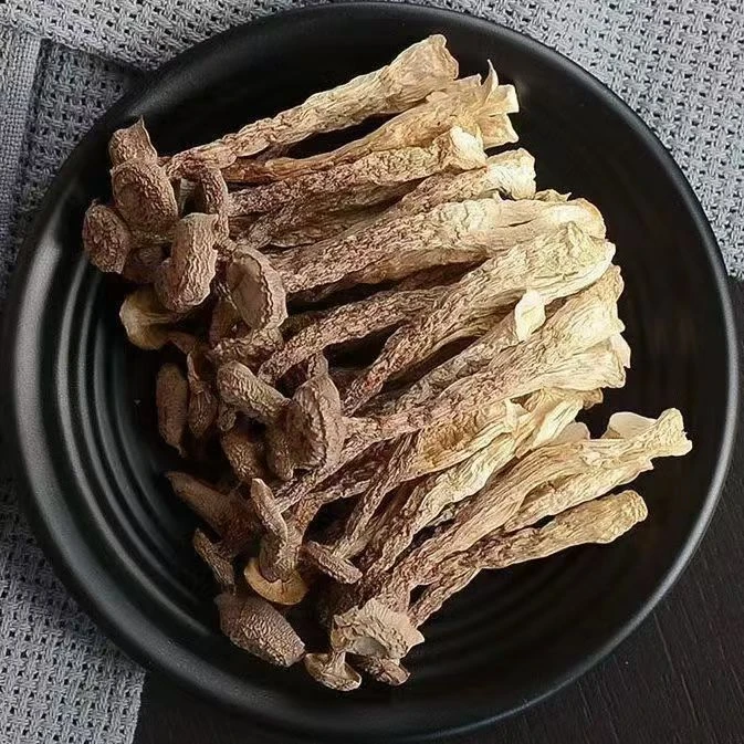 【无干燥剂】新货鹿茸菇干货鹿茸菌鹿耳菇批发菌菇香菇蛹虫草煲汤
