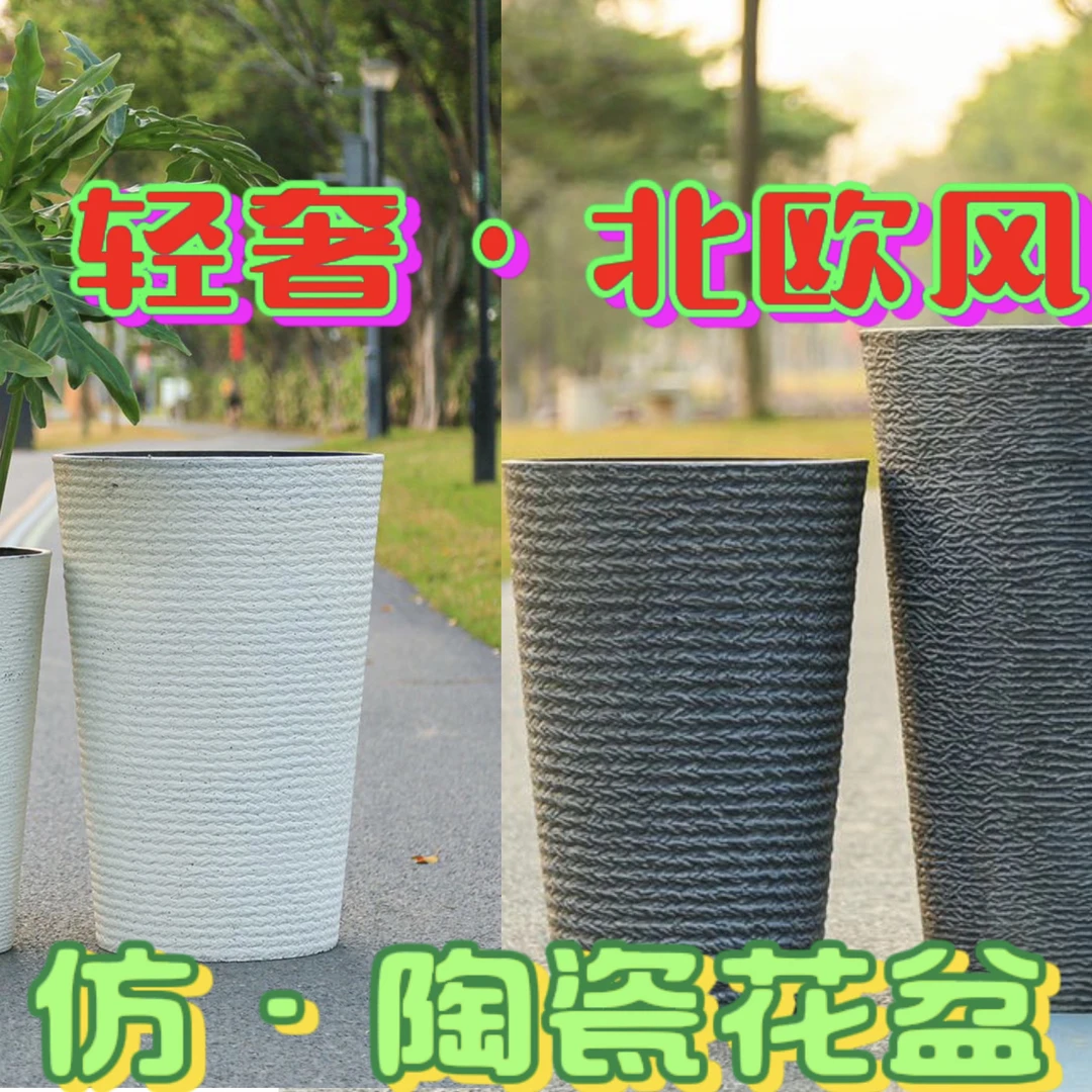 高档北欧风大型室内绿植精致造型幸福树龙血树发财树轻奢精选颜色