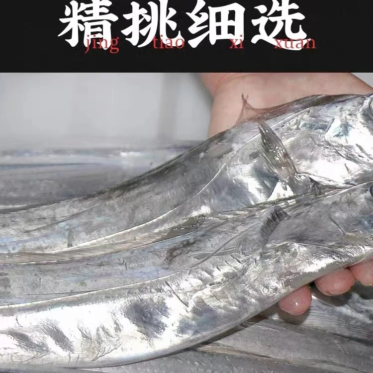渤海湾 无冰带鱼段  去头去尾 400克*6包 9-11段/包 威海发货