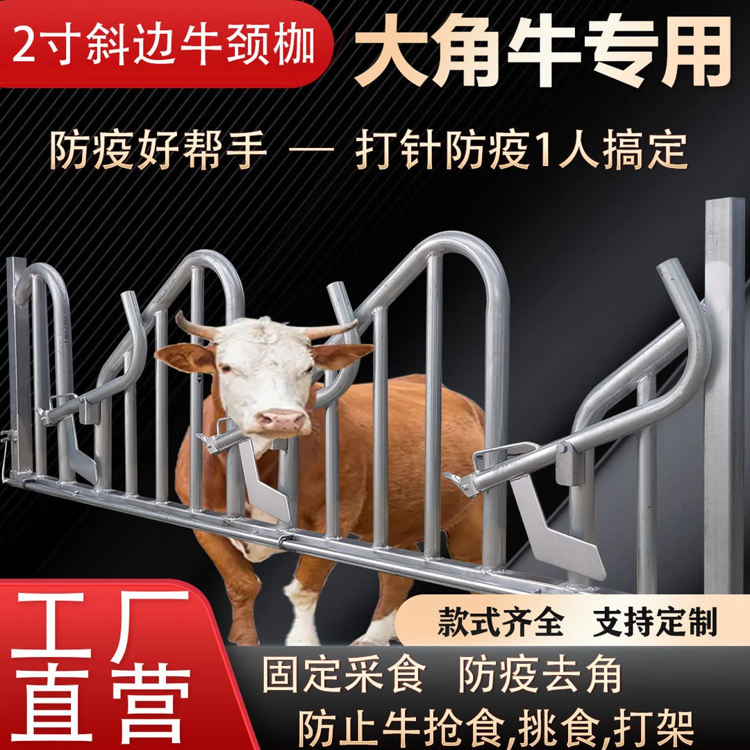 斜边牛颈枷新款圆式牛颈夹牛场养殖设备牛围栏牛脖夹自锁式牛颈夹