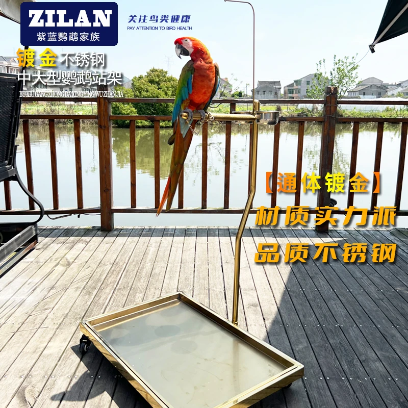 紫蓝鹦鹉镀金不锈钢中大型鹦鹉活动站架长83宽53高100cm送链子