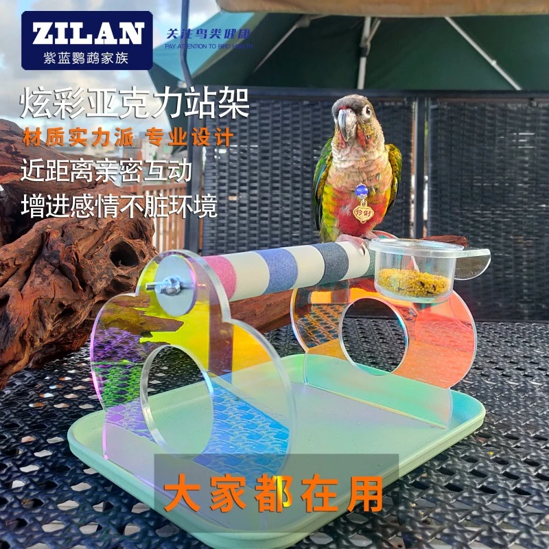 炫彩手养鹦鹉磨爪站架亚克力小太金太和尚站杆互动训练鸟台式站架