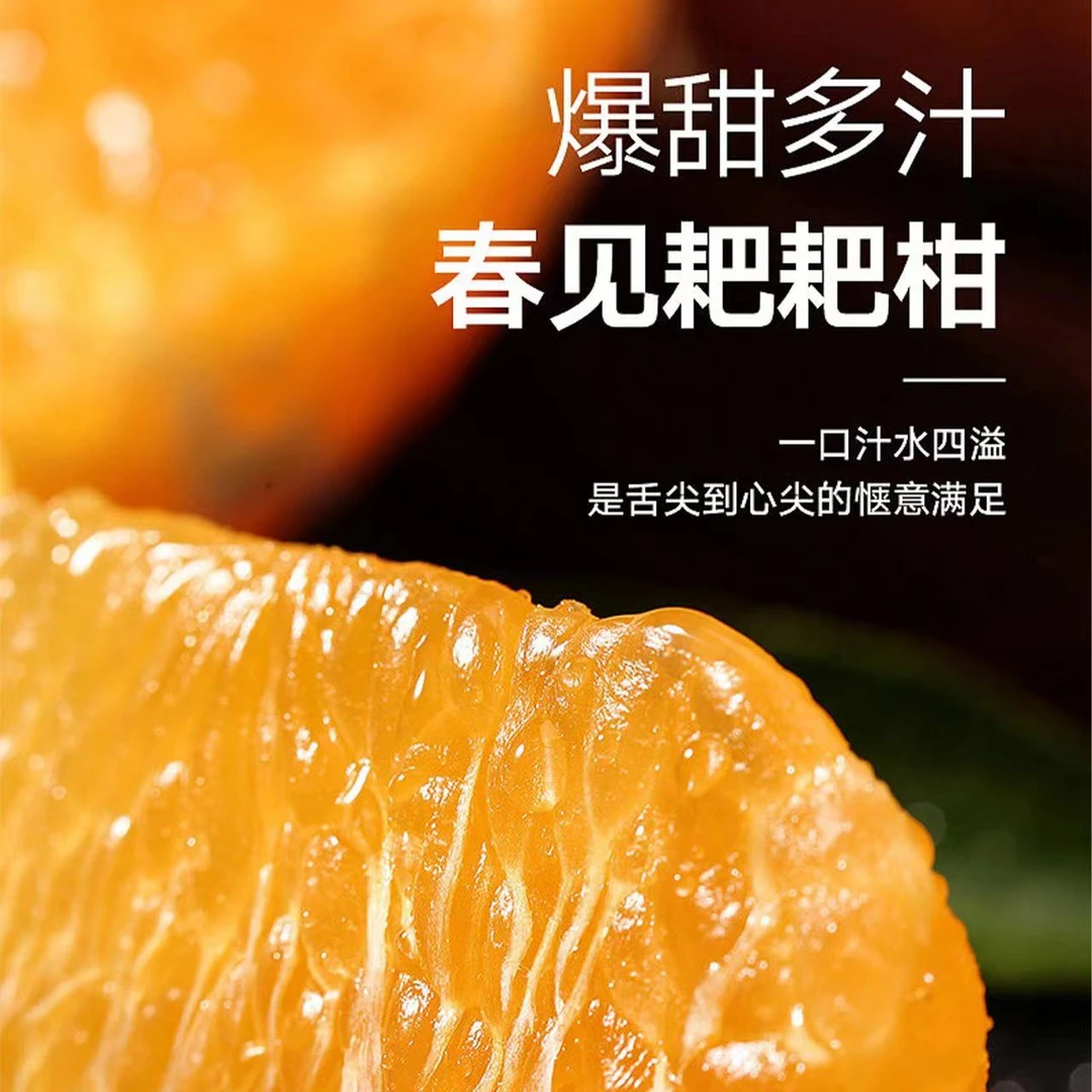 【寒冷地区山城专属】正宗四川春见保鲜耙耙柑品质整箱新鲜水果多汁