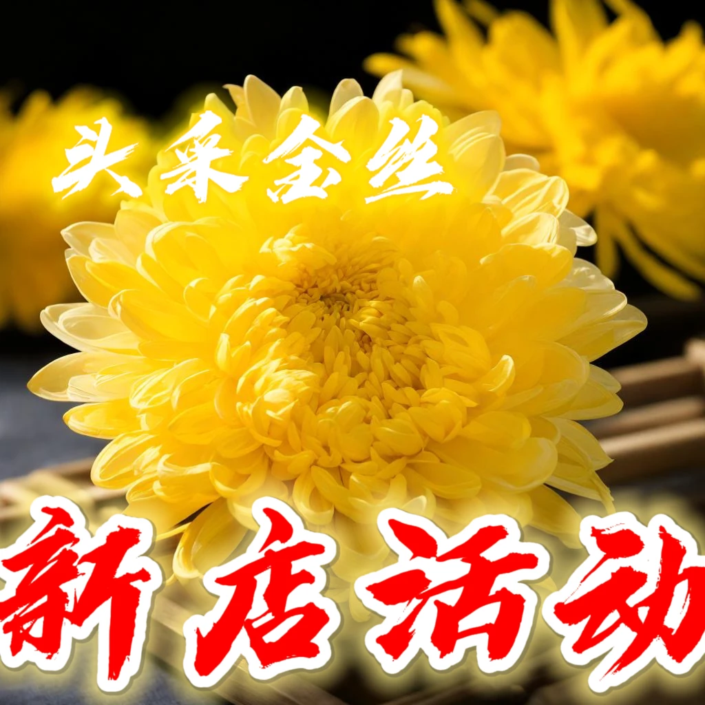 【2元福利】菊花茶金丝皇菊茶独立包装熬夜上火常备花茶菊花枸杞茶