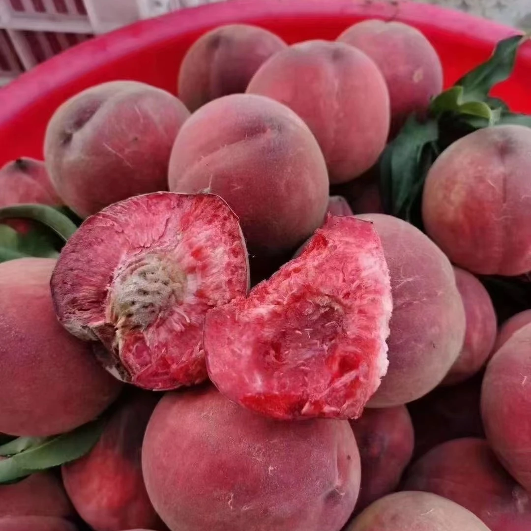 （秋后发苗，先发购苗指南）中桃25血桃，特级桃树苗