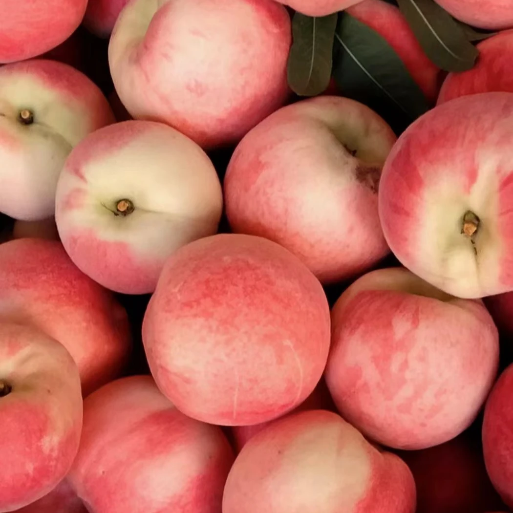 郑州6组合，新品种桃树苗