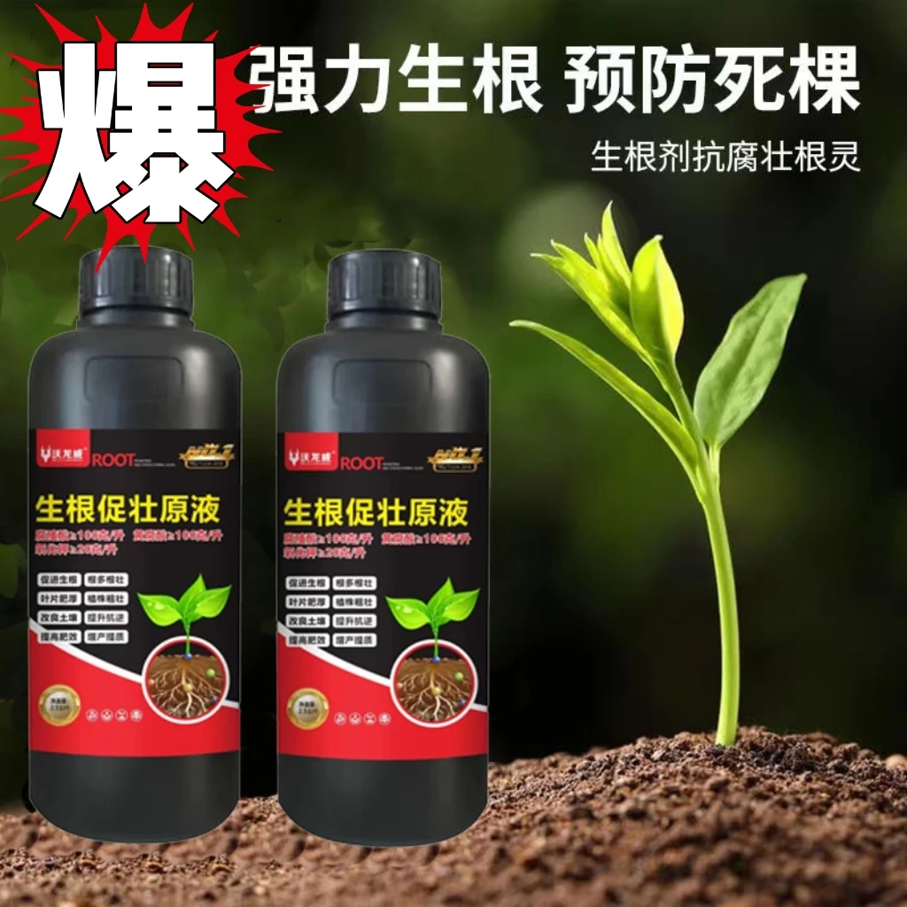 生根促壮原液生根剂瓜果移栽扦插预防死棵提高成活率大爆根水溶肥