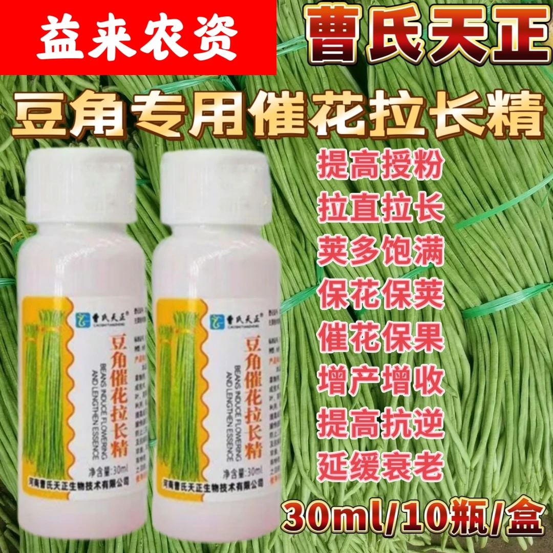 曹氏天正豆角催花拉长精豆角嫩脆拉直拉长荚多饱满增产增收专用