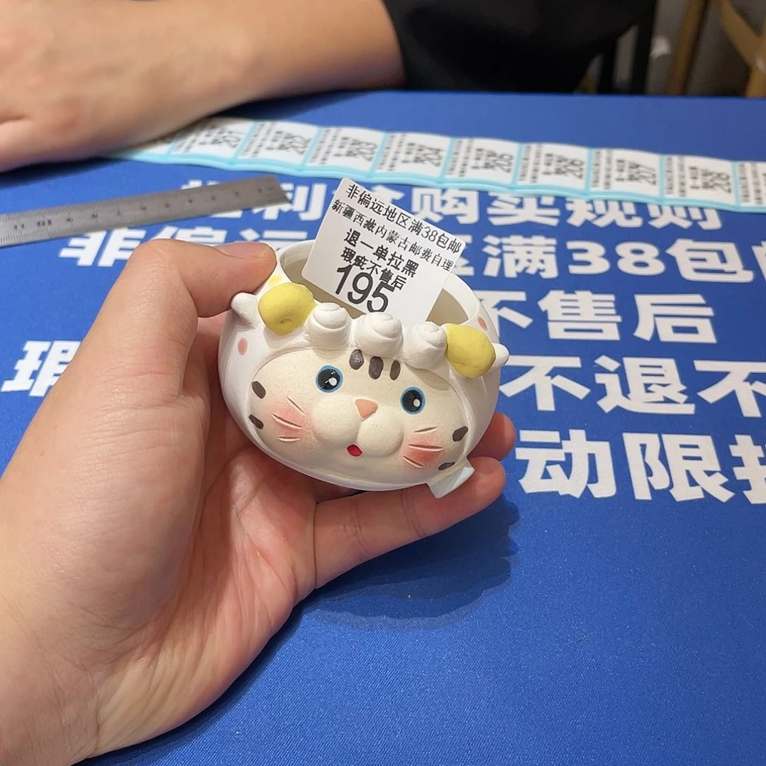 红陶195 发0000000