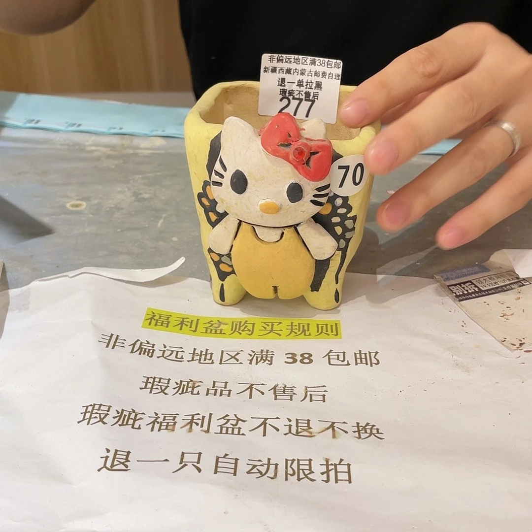 红陶20CM(含)-50CM(不含)277