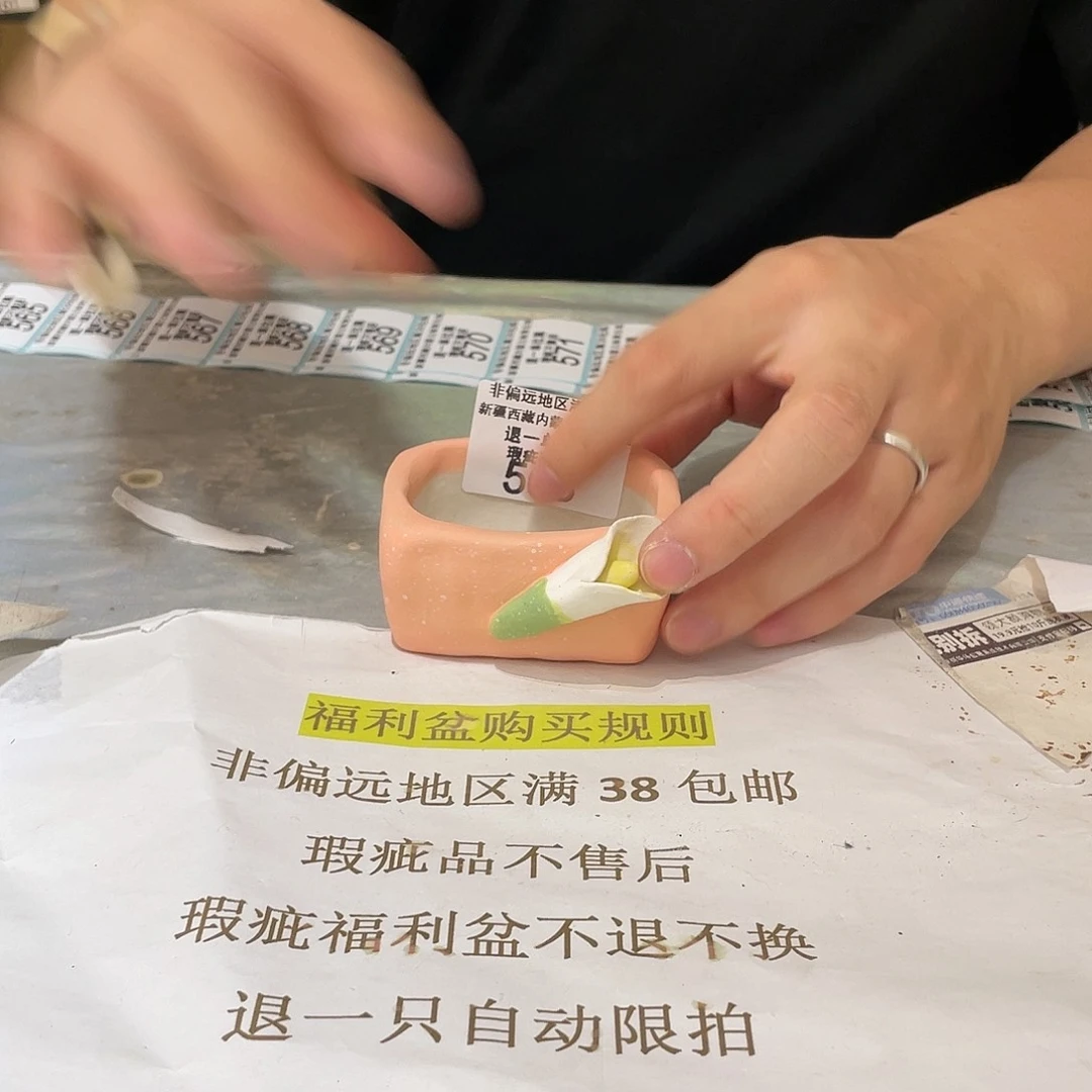 红陶20CM（含）-50CM（不含）563