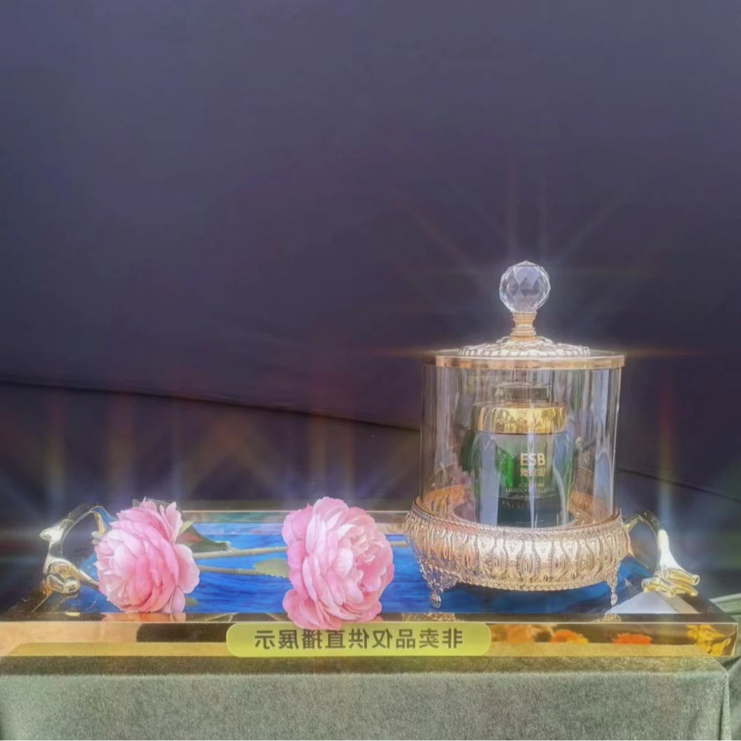 an卖品仅供展示】精美时尚创意礼品-盒子an1