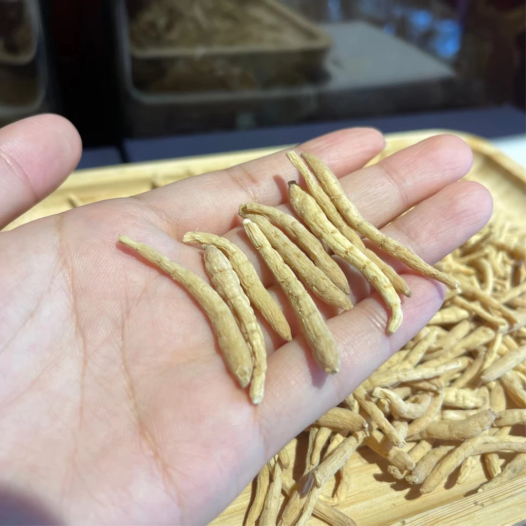 大嘉姐精选 贵州太子根 250克/500克（枸杞）