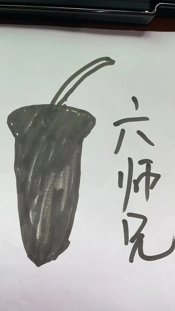 大嘉姐精选 六师兄的巴巴 30-33克/条（枸杞）