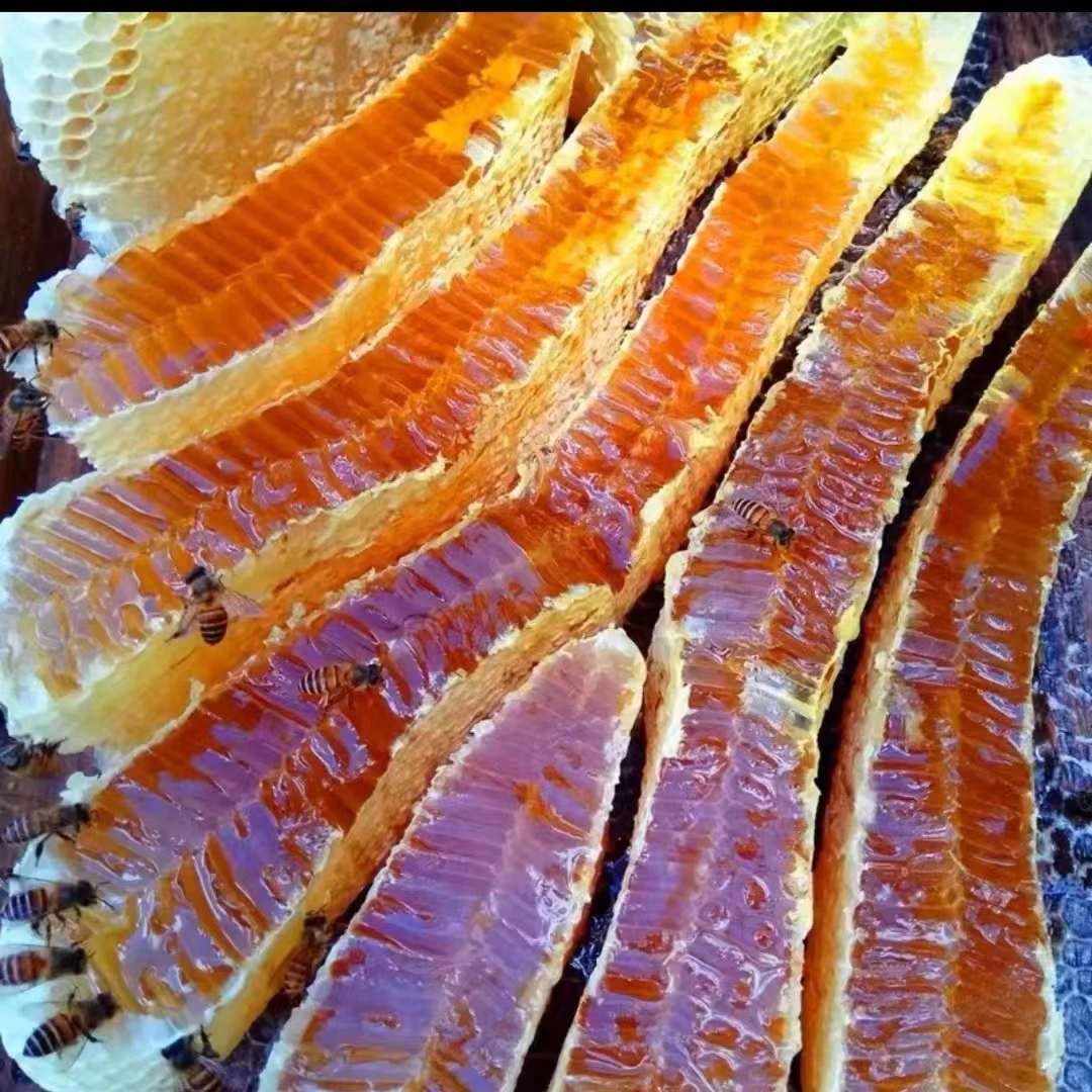 【蜂巢蜜】一年割一次 农家蜂巢蜜500g