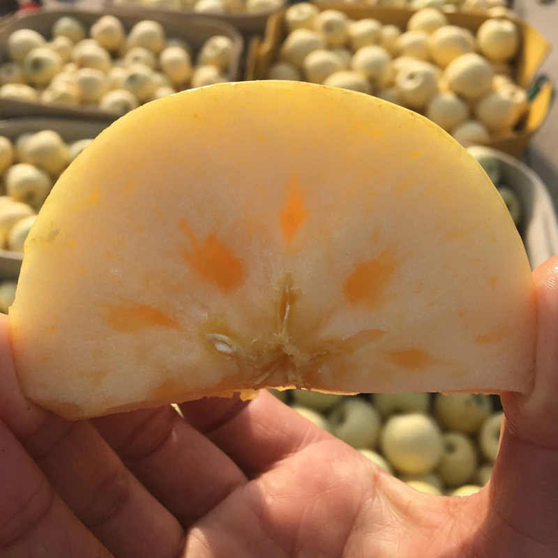 【脆甜爽口】黄金奶油富士新鲜山东烟台苹果水果5斤3斤细腻正宗